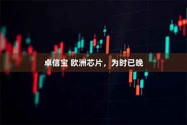 卓信宝 欧洲芯片，为时已晚