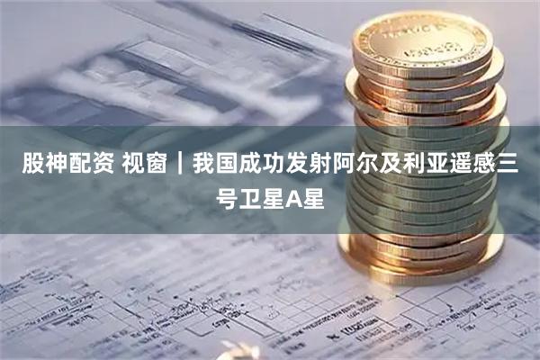 股神配资 视窗｜我国成功发射阿尔及利亚遥感三号卫星A星