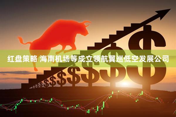 红盘策略 海南机场等成立领航翼巡低空发展公司